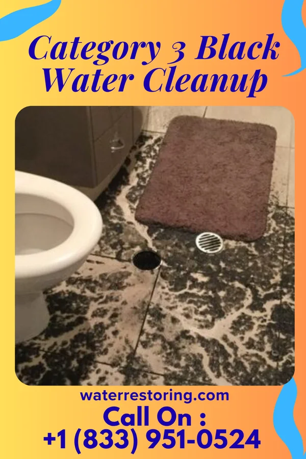 Category 3 Black Water Cleanup in Franklin, NH